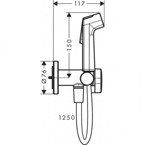 HANSGROHE S гигієнічний душ, зі шлангом 1,25 м і тримачем, колір полірованне золото