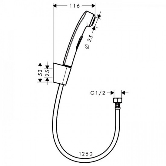 Гігієнічний душ Hansgrohe зі шлангом 1.2 м та тримачем